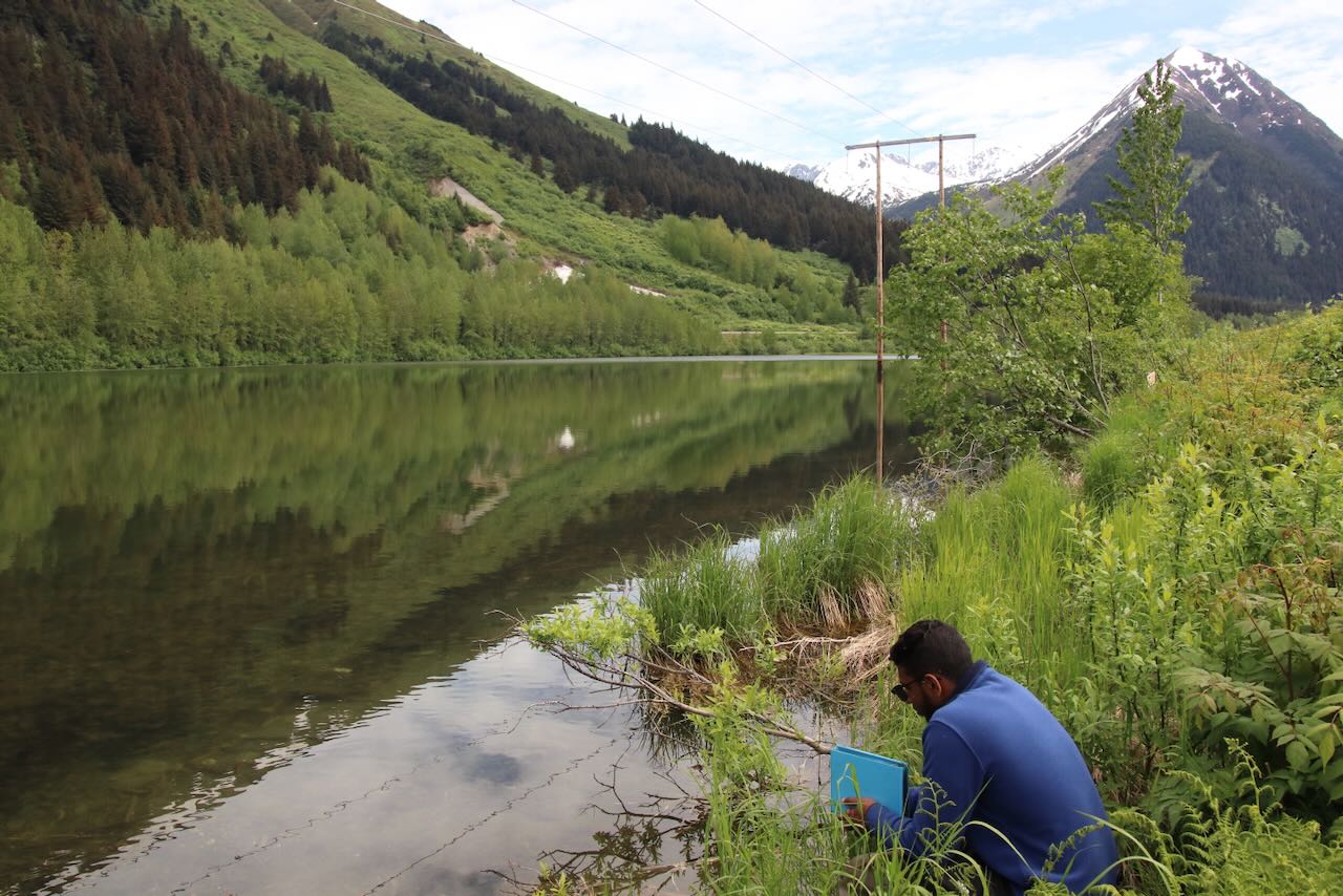 Student making behavioral observations in the field