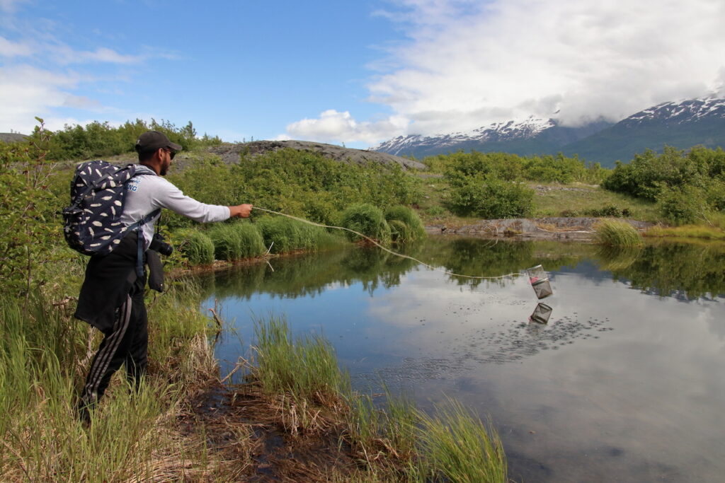 A student researcher sets a fish trap in a lake