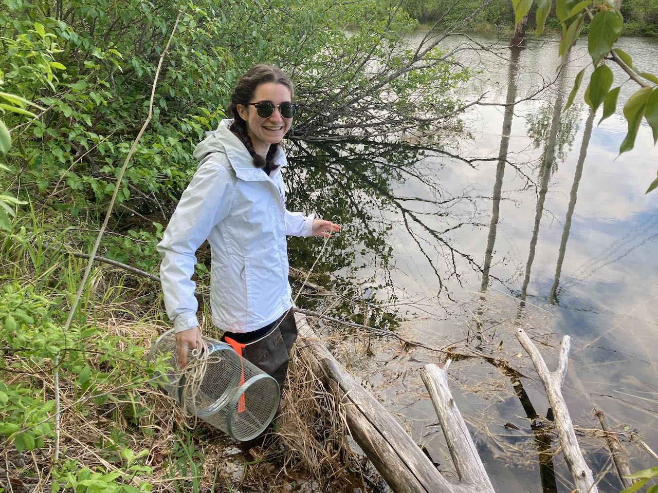 Student deploying a minnow trap