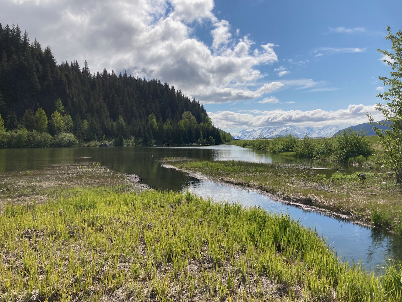 Photo of an Alaskan Lake where some of our research takes place