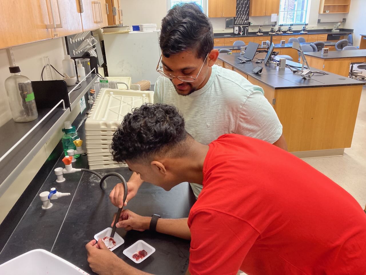 Students working in the lab