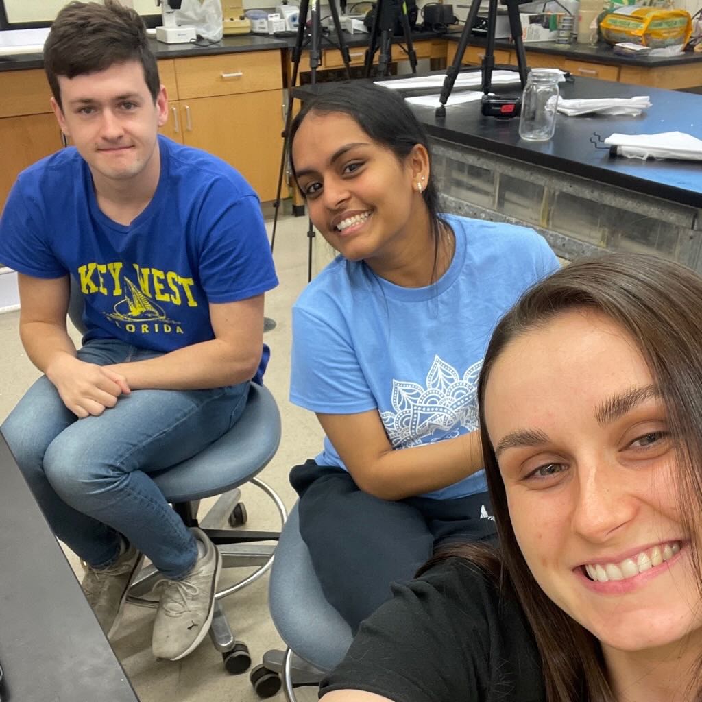 Students working in the lab