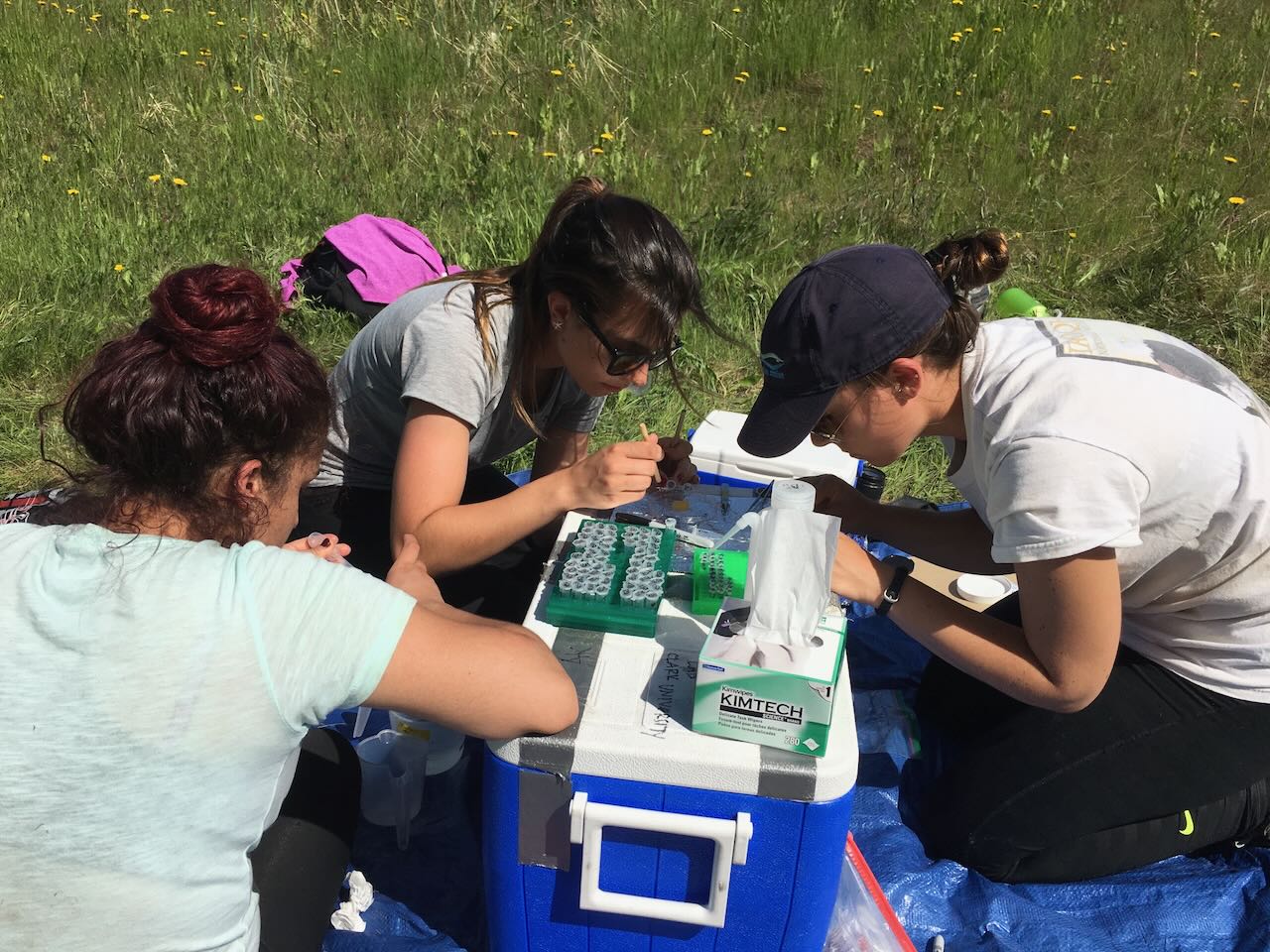 Prepping samples in the field