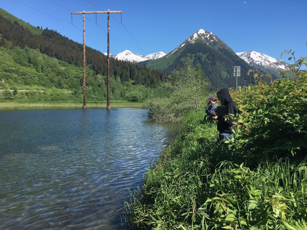 Student researchers study stickleback behavior in the field.
